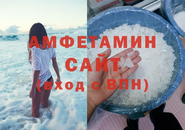 сатива Верея