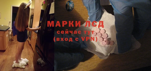 крисы Каменногорск