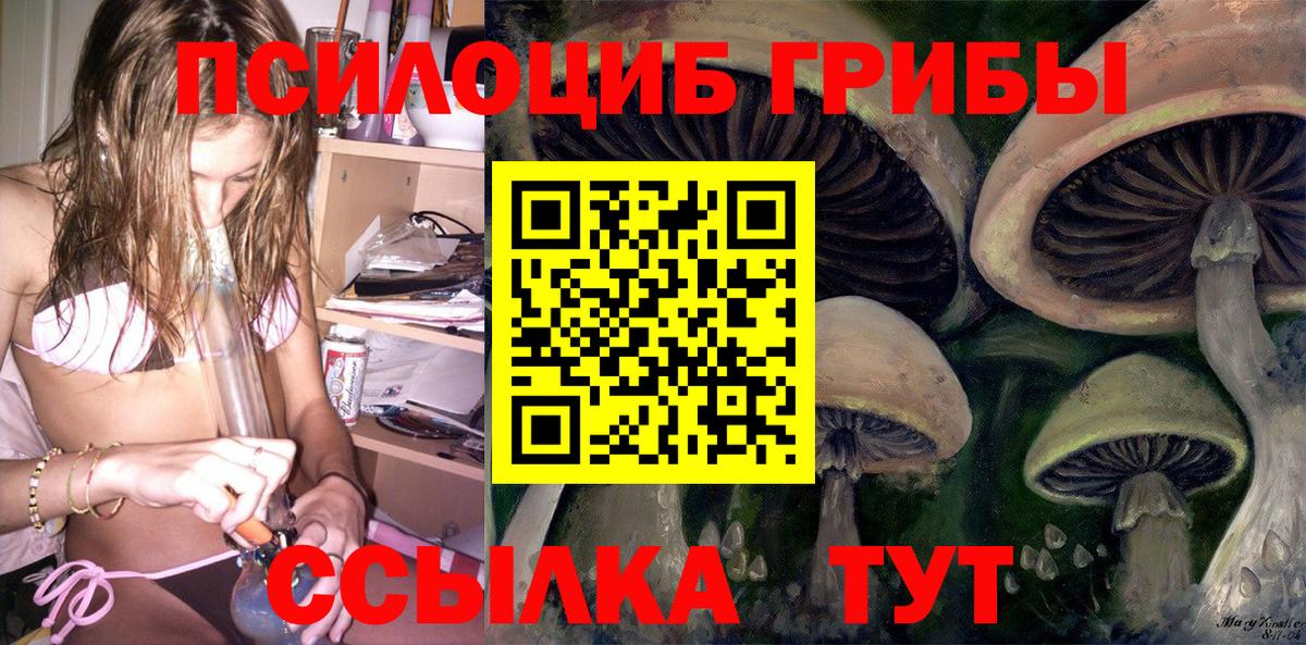 Псилоцибиновые грибы Psilocybine cubensis  Вход с VPN  Псилоцибиновые грибы мицелий  Гулькевичи 