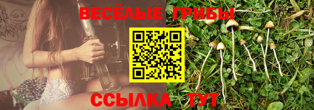 Псилоцибиновые грибы мицелий Гулькевичи
